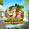 Triple Monkey