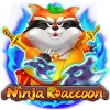 Ninja Raccoon