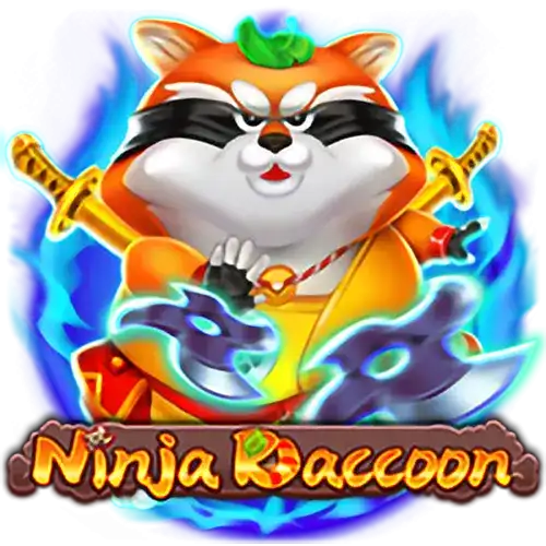 Ninja Raccoon