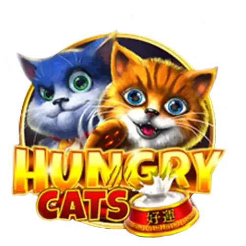 Hungry Cats