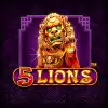 5 Lions