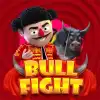 Bull Fight